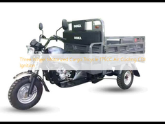 Ba bánh xe ba bánh xe vận động 175CC làm mát bằng không khí CDI