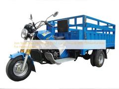 Xe ba bánh chở hàng 250cc có động cơ trục sắt với cầu vi sai để chở nặng