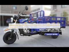 Xe ba bánh chạy xăng có ghế bên, Xe ba bánh chở hàng Trung Quốc