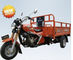 250 CC Cargo Motor dành cho người lớn ba bánh Ba bánh xe gắn máy mở cơ thể loại